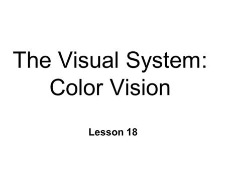 The Visual System: Color Vision Lesson 18. The Trichromatic Theory n Young-Helmholtz (1802) n 3 types of color receptors l Cones n Differential sensitivity.