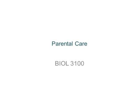 Parental Care BIOL 3100.
