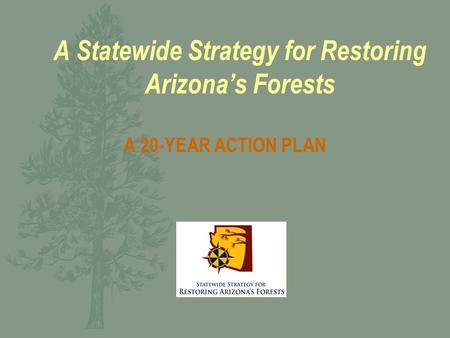 A Statewide Strategy for Restoring Arizona’s Forests A 20-YEAR ACTION PLAN.
