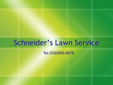 Schneider’s Lawn Service Tel.(559)555-5678. Company History  Schneider’s Lawn Service was started back in 1987 by Jared Schneider. It began as a simple.