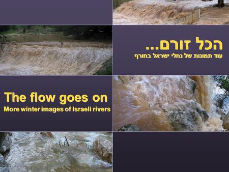 הכל זורם... The flow goes on עוד תמונות של נחלי ישראל בחורף More winter images of Israeli rivers.