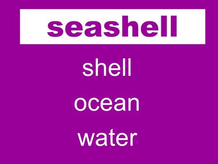Sea shell ocean water seashell. bird wing fly house birdhouse.