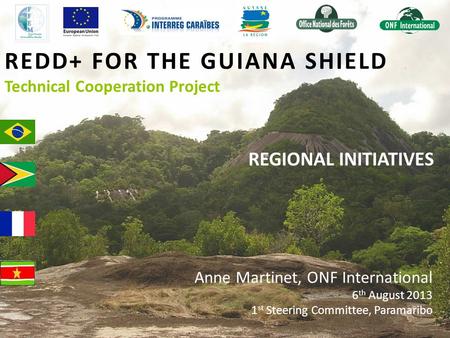REDD+ FOR THE GUIANA SHIELD Technical Cooperation Project REGIONAL INITIATIVES Anne Martinet, ONF International 6 th August 2013 1 st Steering Committee,