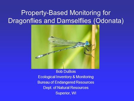 Property-Based Monitoring for Dragonflies and Damselflies (Odonata) Bob DuBois Ecological Inventory & Monitoring Bureau of Endangered Resources Dept. of.