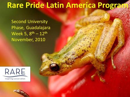 Rare Pride Latin America Program Second University Phase, Guadalajara Week 5, 8 th – 12 th November, 2010.