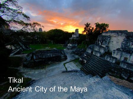 Tikal, The Maya City Tikal Ancient City of the Maya.