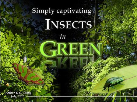 GREEN symbolizes nature and the natural world. It represents tranquility, self-respect and well being. Some insects are green in colour, of different.