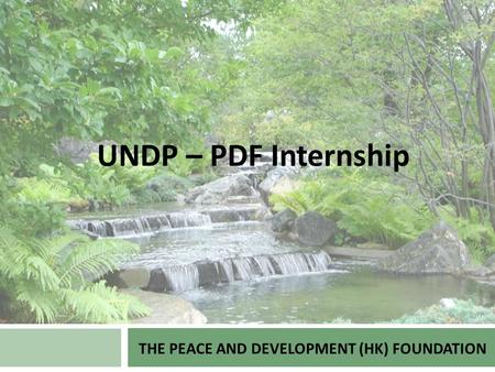 THE PEACE AND DEVELOPMENT (HK) FOUNDATION UNDP – PDF Internship.