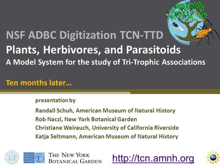 NSF ADBC Digitization TCN-TTD Plants, Herbivores, and Parasitoids A Model System for the study of Tri-Trophic Associations Ten months later… presentation.