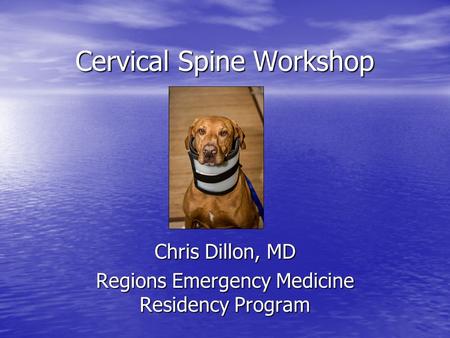 Cervical Spine Workshop