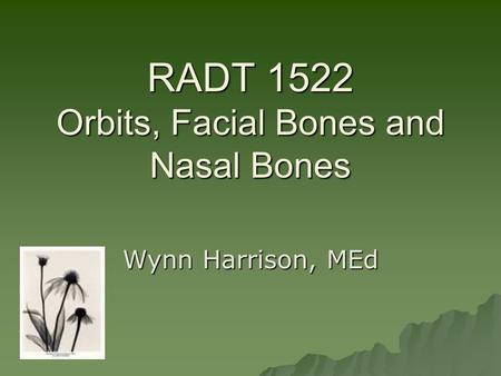 RADT 1522 Orbits, Facial Bones and Nasal Bones Wynn Harrison, MEd.