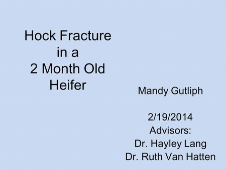 Hock Fracture in a 2 Month Old Heifer Mandy Gutliph 2/19/2014 Advisors: Dr. Hayley Lang Dr. Ruth Van Hatten.