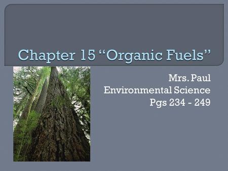 Mrs. Paul Environmental Science Pgs 234 - 249.  Many forms of energy to meet the needs of people on Earth. Heat, light, energy, mechanical energy, chemical.