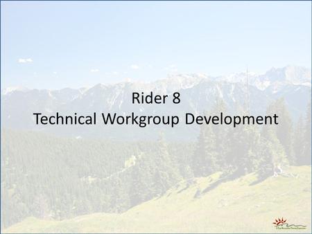 Rider 8 Technical Workgroup Development. Introduction - Rider 8 Program for Ozone 74 th State Legislative Session authorized and budgeted to assist areas.