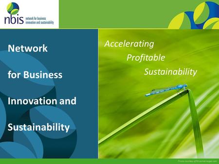 Network for Business Innovation and Sustainability Photo courtesy of RhizomeImages.com Accelerating Profitable Sustainability.