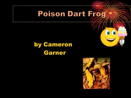 Poison Dart Frog by Cameron Garner.