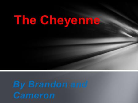 By Brandon and Cameron The Cheyenne. CornBeans Squash Bison Pumpkins Tobacco Corps Ducks Dirt coffee Fruit and Berries What did the Cheyenne eat.
