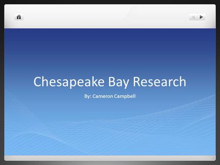 Chesapeake Bay Research By: Cameron Campbell. Why is it important to have a variety of living things in the Bay? It is important to have a variety of.