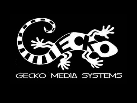Gecko Media Systems is a complete Media Technologies integrations Company. Because we are not a mere audio and video company, but yet a business class.