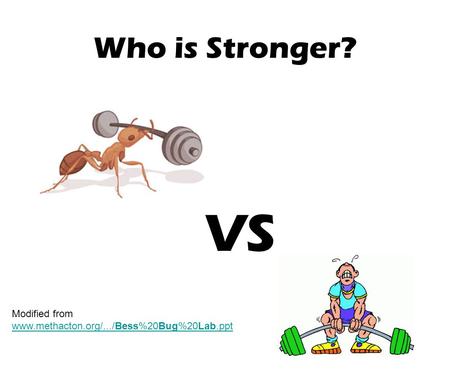 VS Who is Stronger? Modified from