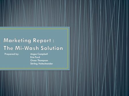Marketing Report : The Mi-Wash Solution
