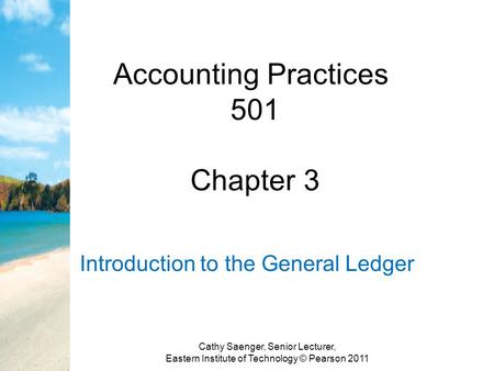 Accounting Practices 501 Chapter 3