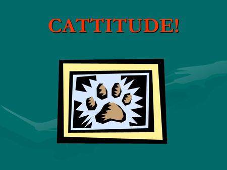 CATTITUDE!. What does CATS stand for? CATS is an acronym, and it stands for Courage, Attitude, Teamwork and Spirit.CATS is an acronym, and it stands for.