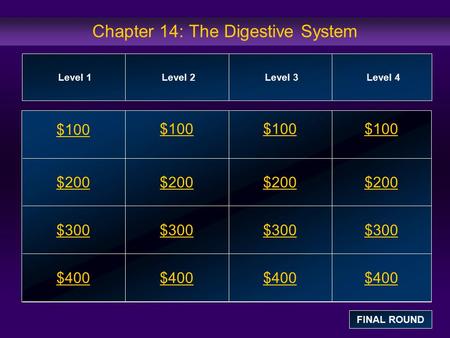 Chapter 14: The Digestive System $100 $200 $300 $400 $100$100$100 $200 $300 $400 Level 1Level 2Level 3Level 4 FINAL ROUND.