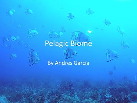 Pelagic Biome By Andres Garcia. Location The pelagic biome is the marine ocean system The pelagic biome covers about 70 percent of the world and is the.