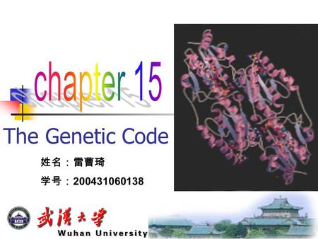 The Genetic Code 姓名：雷曹琦 学号： 200431060138. Summery of the chapter  Introduction Introduction  Characters of the genetic code Characters of the genetic.