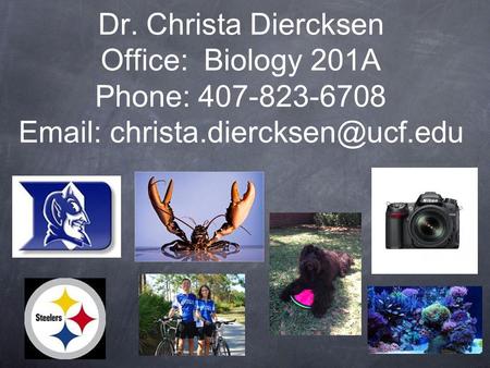 Dr. Christa Diercksen Office:  Biology 201A Phone: