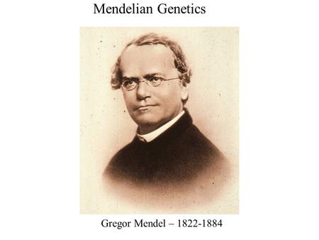 Mendelian Genetics Gregor Mendel – 1822-1884.
