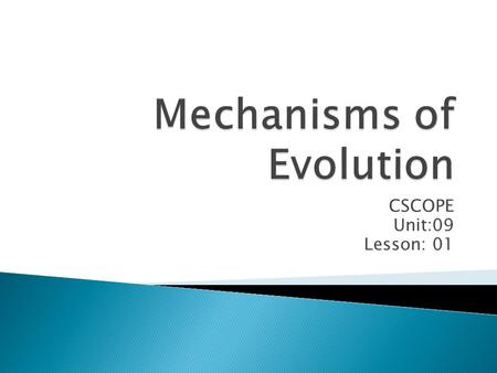 Mechanisms of Evolution