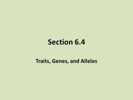 Traits, Genes, and Alleles