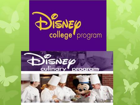 Overview  Summer/Fall Placements  Highly competitive admission process  A Disney Culinary Program participant's hourly wage will vary between $8.25.