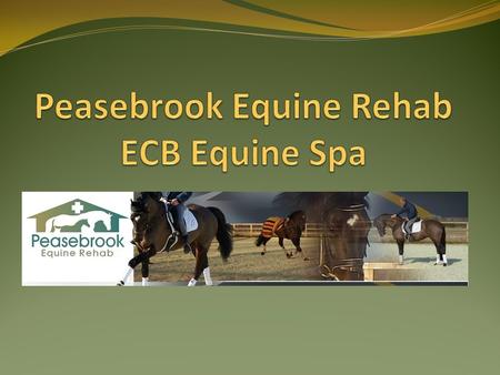 PER ECB Equine Spa ~ The latest development within PER is the fully commissioned ECB Equine Spa ~ Cold water hydrotherapy is used to treat & prevent a.