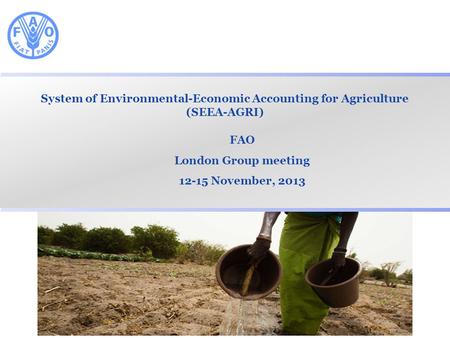 System of Environmental-Economic Accounting for Agriculture (SEEA-AGRI) FAO London Group meeting 12-15 November, 2013.