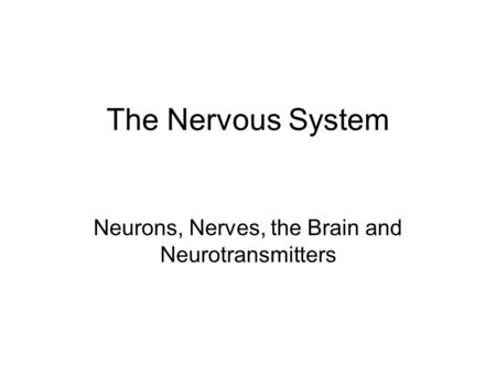 The Nervous System Neurons, Nerves, the Brain and Neurotransmitters.