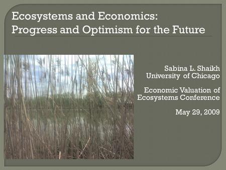 Sabina L. Shaikh University of Chicago Economic Valuation of Ecosystems Conference May 29, 2009 Ecosystems and Economics: Progress and Optimism for the.