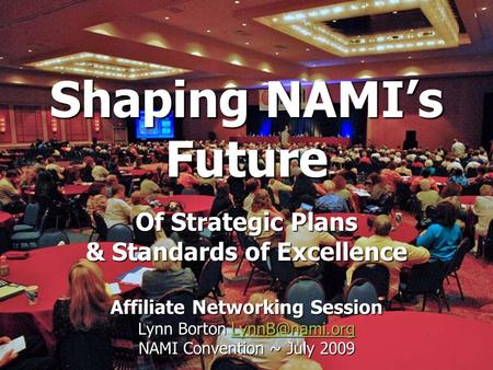 Shaping NAMI’s Future Of Strategic Plans & Standards of Excellence Affiliate Networking Session Lynn Borton  NAMI Convention.