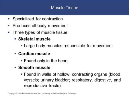 Copyright © 2009 Pearson Education, Inc., publishing as Pearson Benjamin Cummings Muscle Tissue  Specialized for contraction  Produces all body movement.