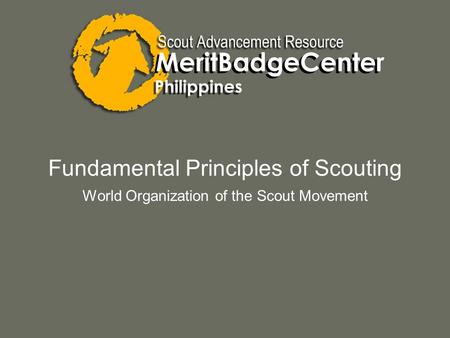 Fundamental Principles of Scouting