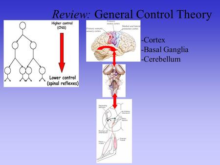 Review: General Control Theory