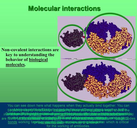 Molecular interactions Non-covalent interactions are key to understanding the behavior of biological molecules. So just by way of introduction, I wanted.