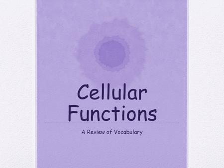 Cellular Functions A Review of Vocabulary Sugars and starches are? 1.Lipids 2.Carbohydrates 3.Proteins 4.Enzymes.