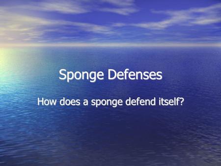How does a sponge defend itself?