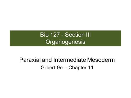 Bio 127 - Section III Organogenesis Paraxial and Intermediate Mesoderm Gilbert 9e – Chapter 11.