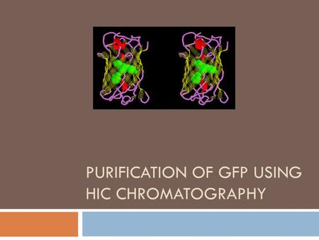 PURIFICATION OF GFP USING HIC CHROMATOGRAPHY. Chromatography  A technique used to separate molecules based on how they tend to cling to or dissolve in.