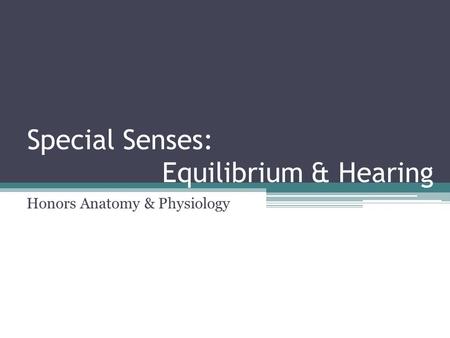 Special Senses: Equilibrium & Hearing