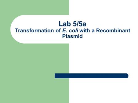 Lab 5/5a Transformation of E. coli with a Recombinant Plasmid
